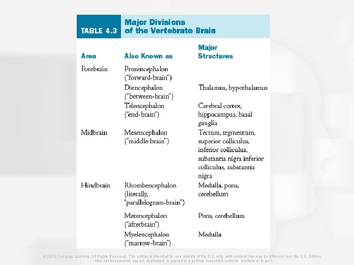 © 2013 Cengage Learning. All Rights Reserved. This edition is intended for use outside
