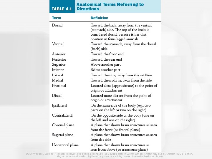 © 2013 Cengage Learning. All Rights Reserved. This edition is intended for use outside
