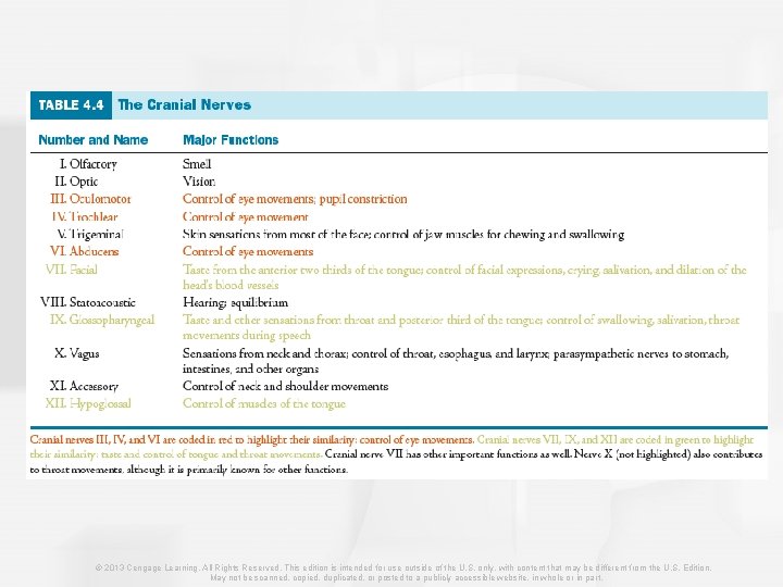 © 2013 Cengage Learning. All Rights Reserved. This edition is intended for use outside