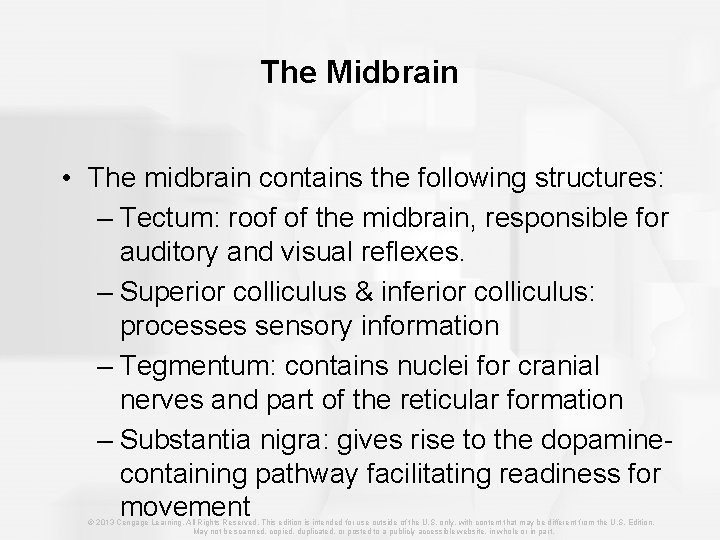 The Midbrain • The midbrain contains the following structures: – Tectum: roof of the