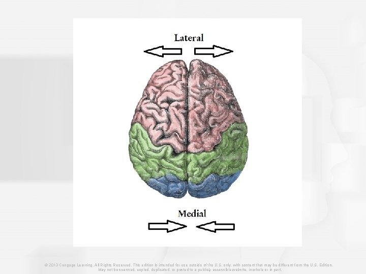 © 2013 Cengage Learning. All Rights Reserved. This edition is intended for use outside