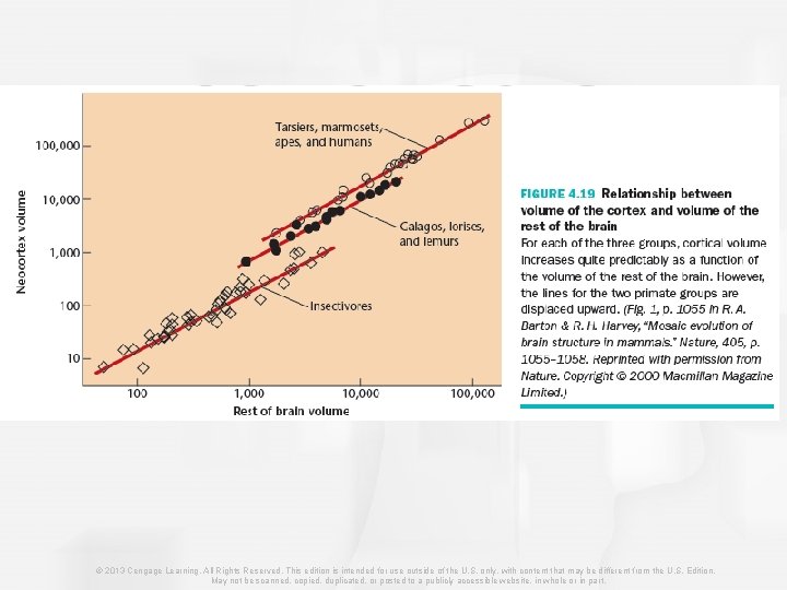 © 2013 Cengage Learning. All Rights Reserved. This edition is intended for use outside