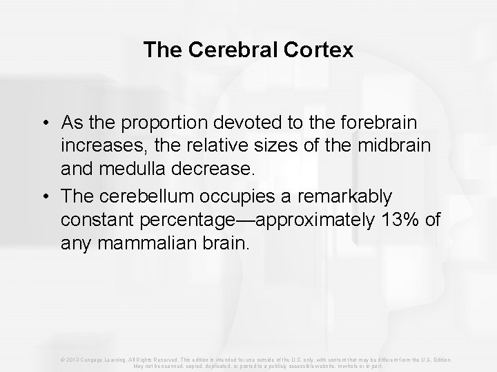 The Cerebral Cortex • As the proportion devoted to the forebrain increases, the relative