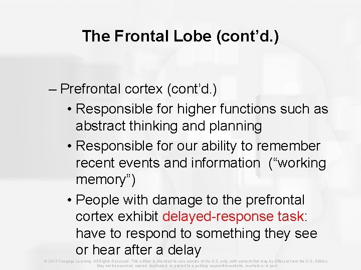 The Frontal Lobe (cont’d. ) – Prefrontal cortex (cont’d. ) • Responsible for higher