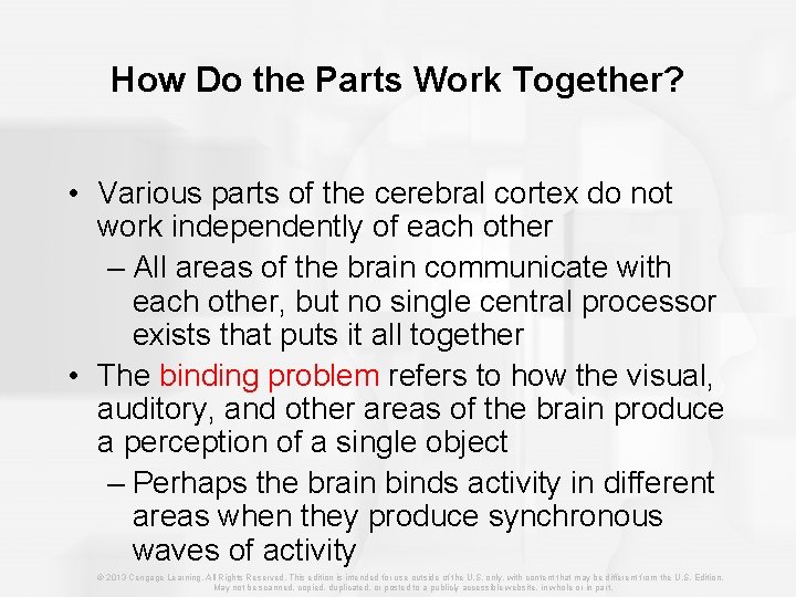 How Do the Parts Work Together? • Various parts of the cerebral cortex do