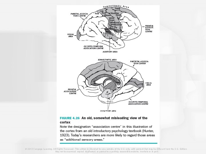 © 2013 Cengage Learning. All Rights Reserved. This edition is intended for use outside