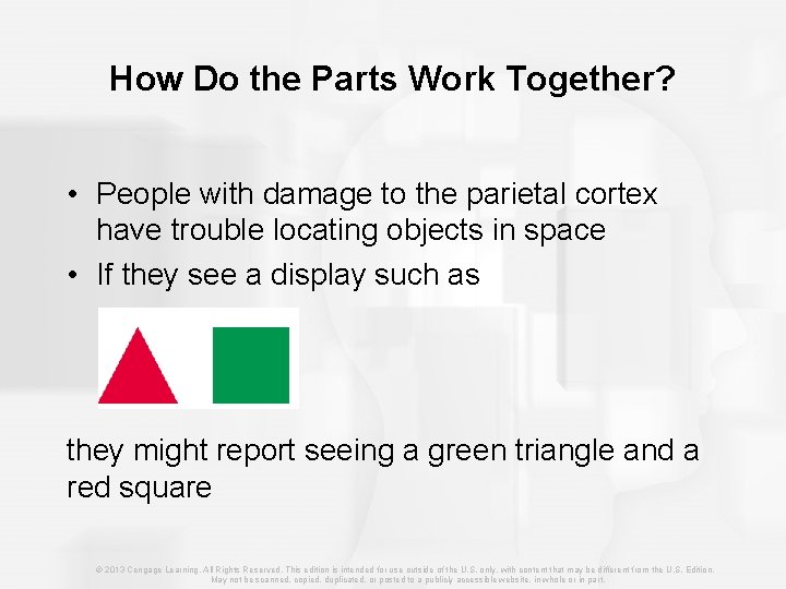How Do the Parts Work Together? • People with damage to the parietal cortex