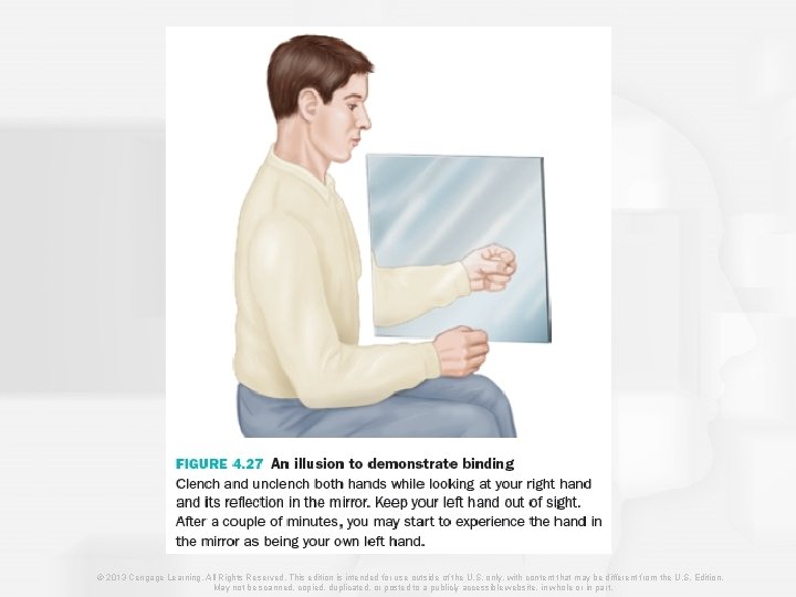 © 2013 Cengage Learning. All Rights Reserved. This edition is intended for use outside