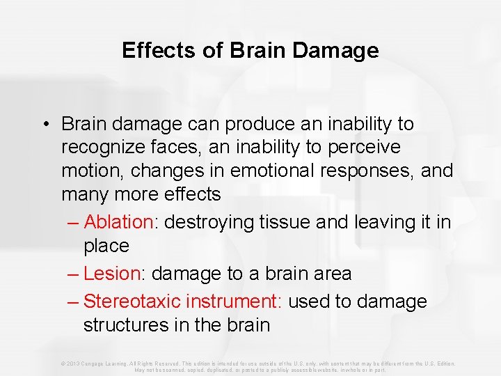 Effects of Brain Damage • Brain damage can produce an inability to recognize faces,