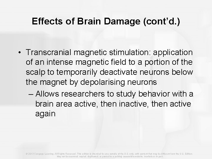Effects of Brain Damage (cont’d. ) • Transcranial magnetic stimulation: application of an intense