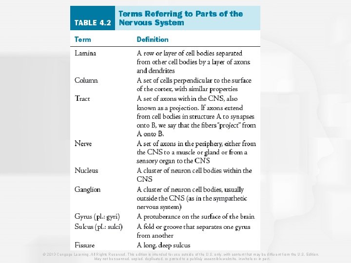 © 2013 Cengage Learning. All Rights Reserved. This edition is intended for use outside