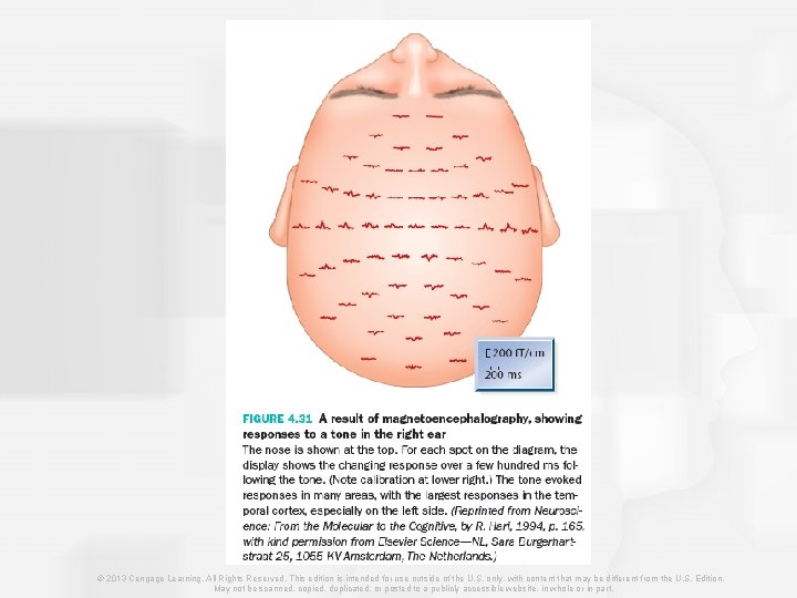 © 2013 Cengage Learning. All Rights Reserved. This edition is intended for use outside