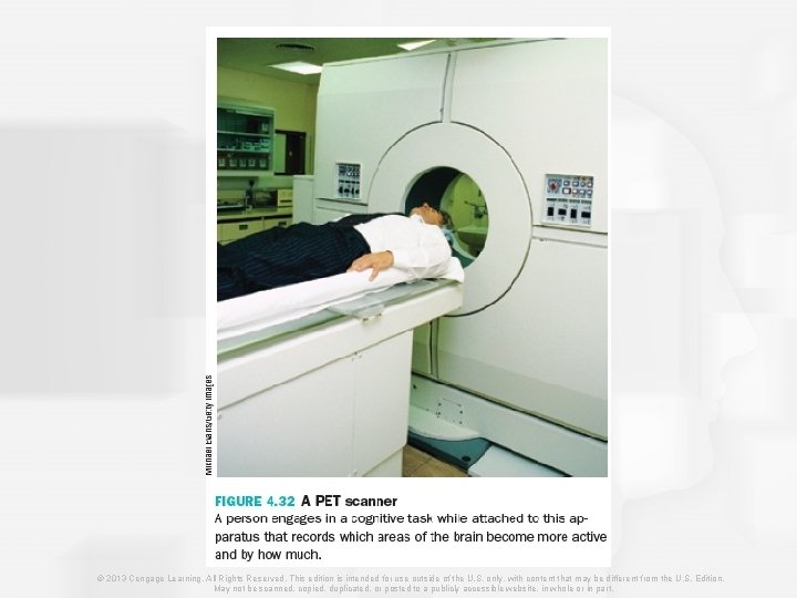 © 2013 Cengage Learning. All Rights Reserved. This edition is intended for use outside