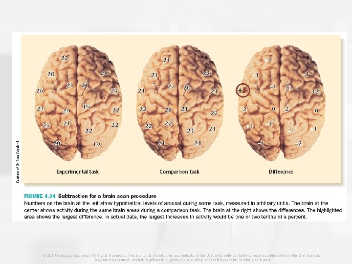 © 2013 Cengage Learning. All Rights Reserved. This edition is intended for use outside