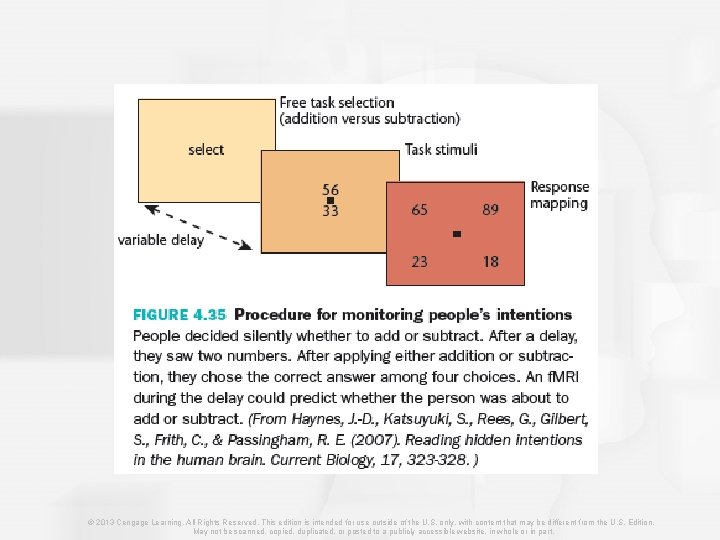 © 2013 Cengage Learning. All Rights Reserved. This edition is intended for use outside