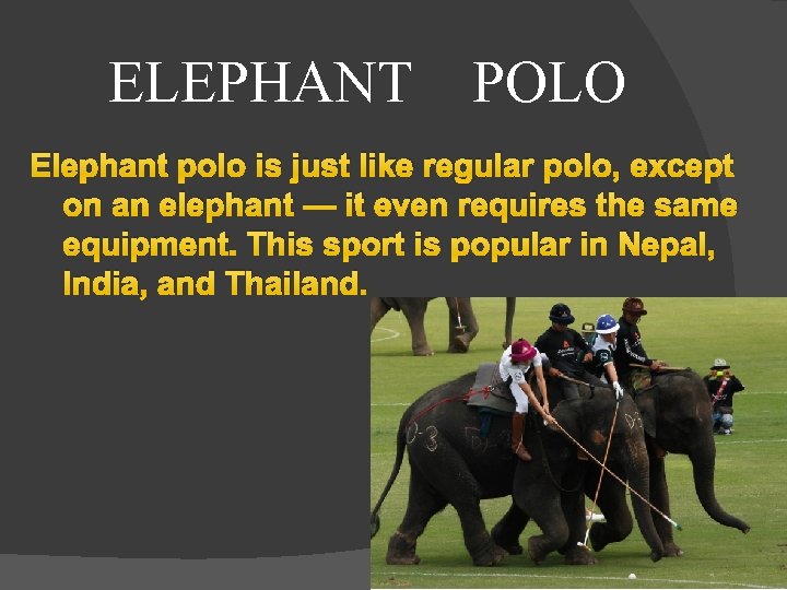ELEPHANT POLO Elephant polo is just like regular polo, except on an elephant —