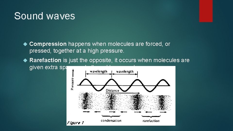 Sound waves Compression happens when molecules are forced, or pressed, together at a high