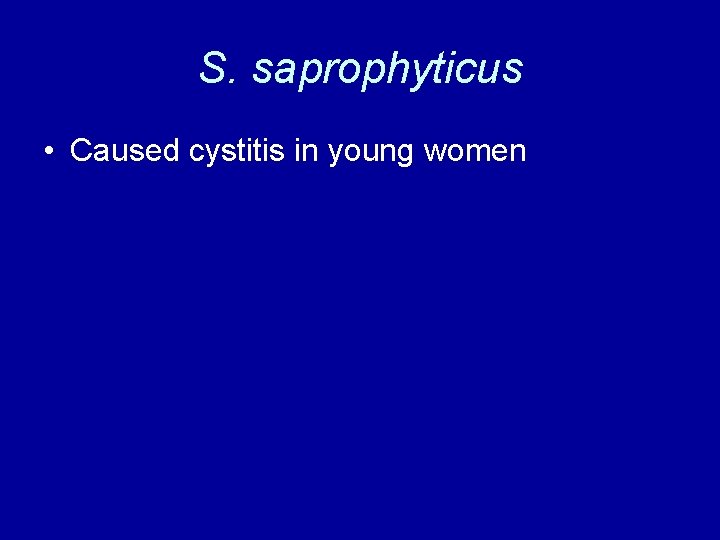 S. saprophyticus • Caused cystitis in young women 