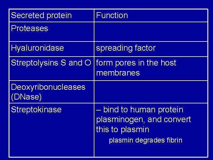 Secreted protein Function Proteases Hyaluronidase spreading factor Streptolysins S and O form pores in