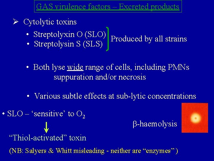 GAS virulence factors – Excreted products Ø Cytolytic toxins • Streptolyxin O (SLO) Produced