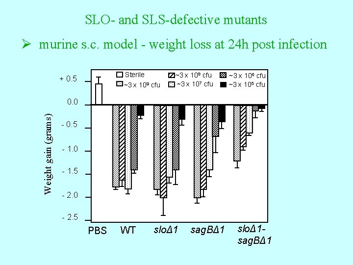 SLO- and SLS-defective mutants Ø murine s. c. model - weight loss at 24