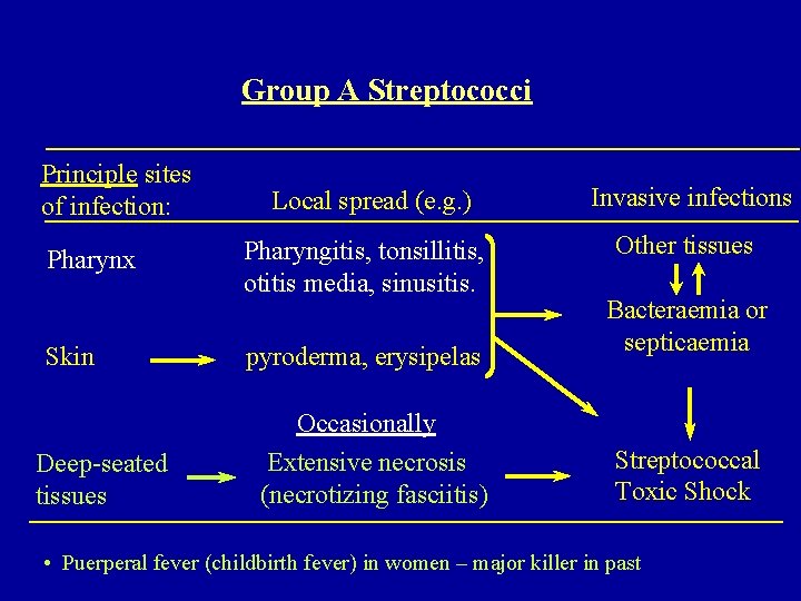 Group A Streptococci Principle sites of infection: Pharynx Skin Deep-seated tissues Local spread (e.