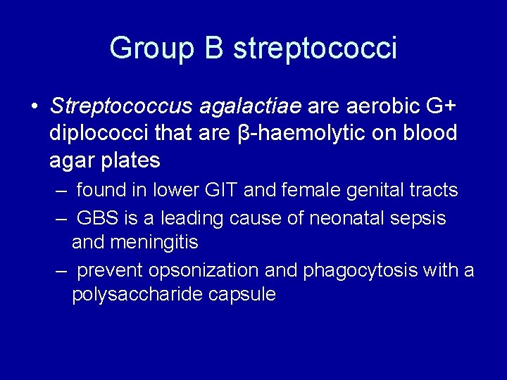 Group B streptococci • Streptococcus agalactiae are aerobic G+ diplococci that are β-haemolytic on