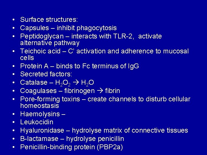  • Surface structures: • Capsules – inhibit phagocytosis • Peptidoglycan – interacts with