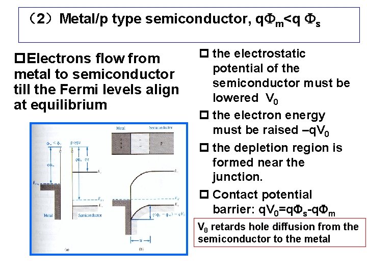 （2）Metal/p type semiconductor, q m<q s p. Electrons flow from metal to semiconductor till