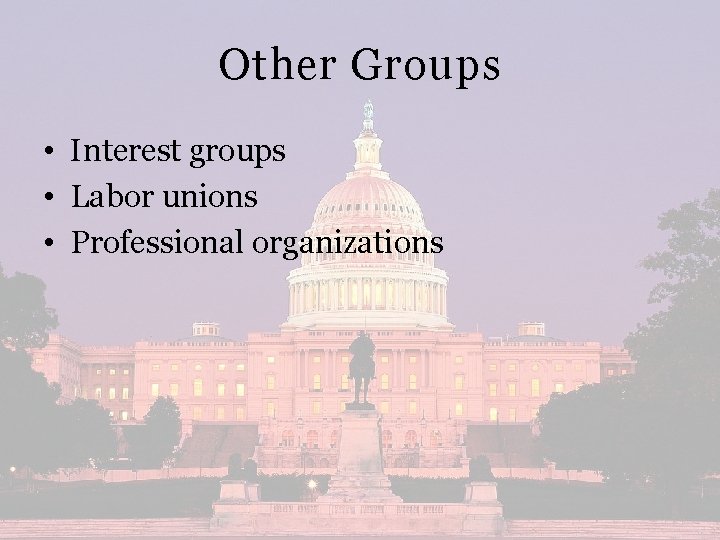 Other Groups • Interest groups • Labor unions • Professional organizations 