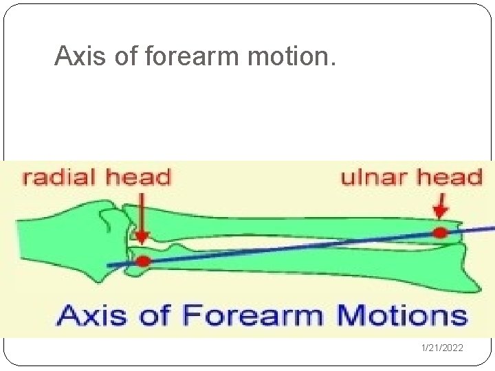 Axis of forearm motion. 1/21/2022 