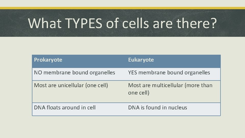 What TYPES of cells are there? Prokaryote Eukaryote NO membrane bound organelles YES membrane