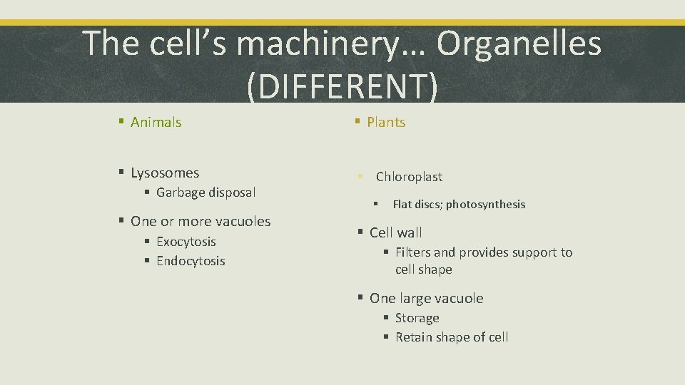 The cell’s machinery… Organelles (DIFFERENT) § Animals § Plants § Lysosomes § Chloroplast §