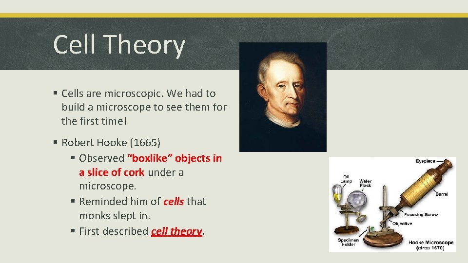 Cell Theory § Cells are microscopic. We had to build a microscope to see