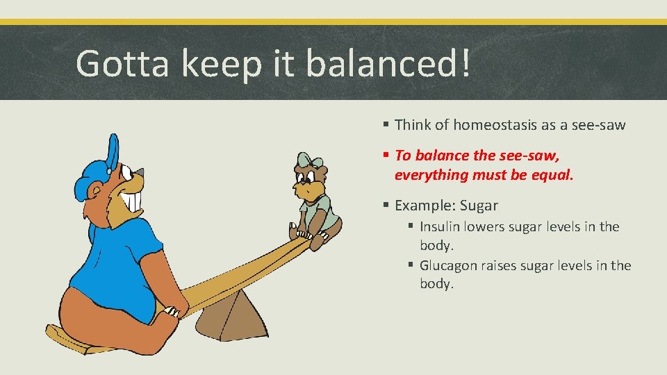 Gotta keep it balanced! § Think of homeostasis as a see-saw § To balance