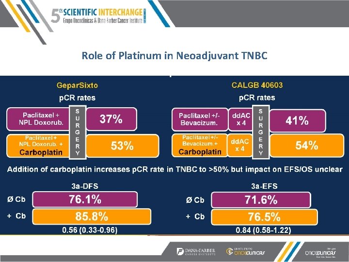 Neoadjuvant Therapy for Triple Negative Breast Cancer Steven