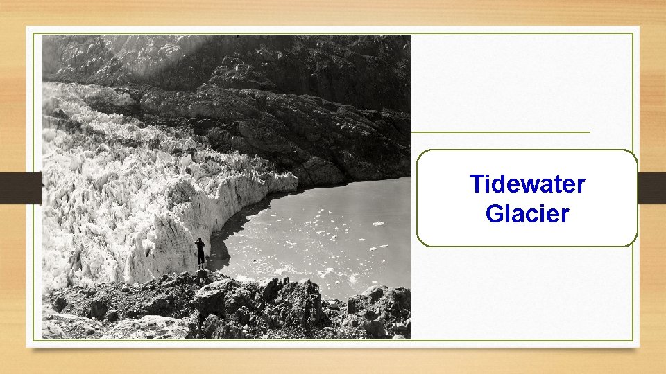 Tidewater Glacier 