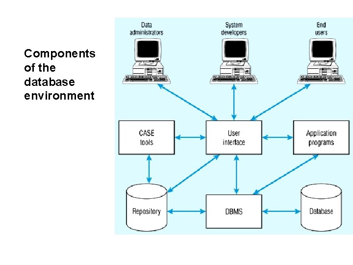 Components of the database environment 