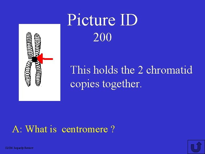 Picture ID 200 This holds the 2 chromatid copies together. A: What is centromere