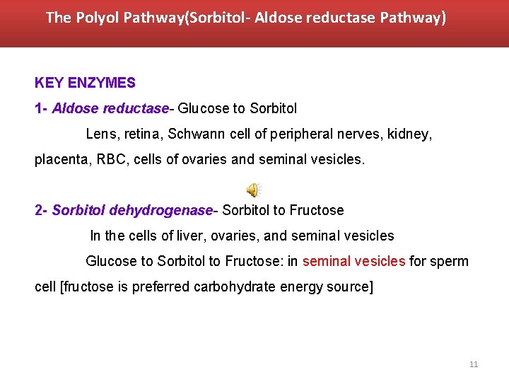 The Polyol Pathway(Sorbitol- Aldose reductase Pathway) KEY ENZYMES 1 - Aldose reductase Glucose to
