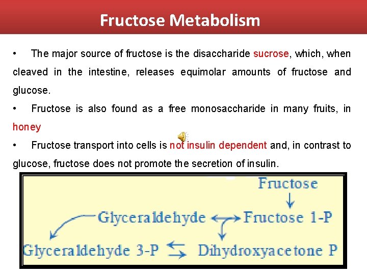 Fructose Metabolism • The major source of fructose is the disaccharide sucrose, which, when