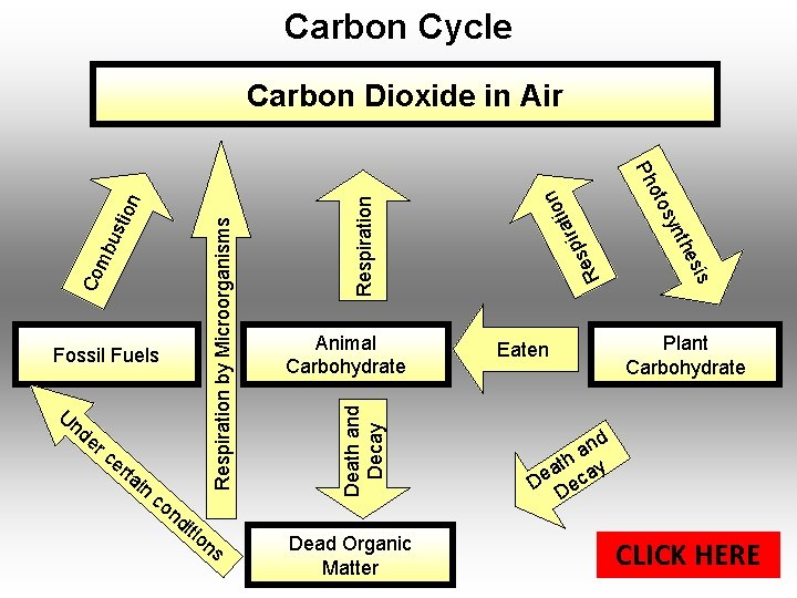 Carbon Cycle Carbon Dioxide in Air rc er ta in co n di tio