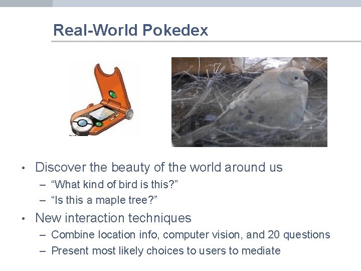 Real-World Pokedex • Discover the beauty of the world around us – “What kind