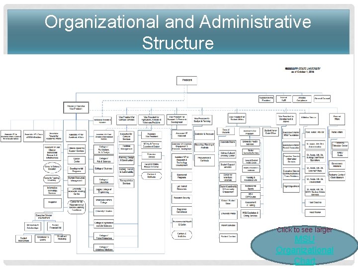 Organizational and Administrative Structure Click to see larger MSU Organizational Chart 