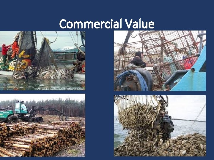 Commercial Value 