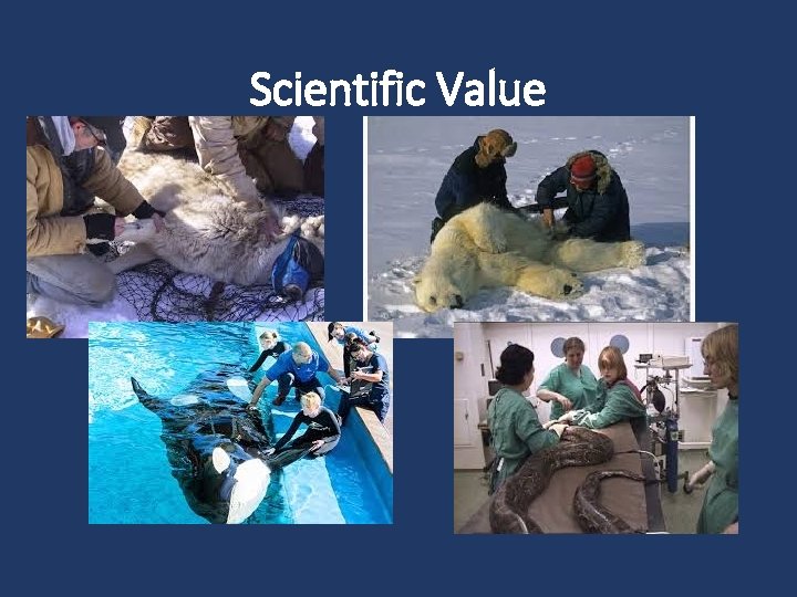 Scientific Value 