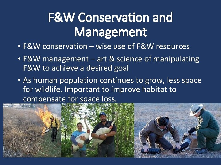 F&W Conservation and Management • F&W conservation – wise use of F&W resources •