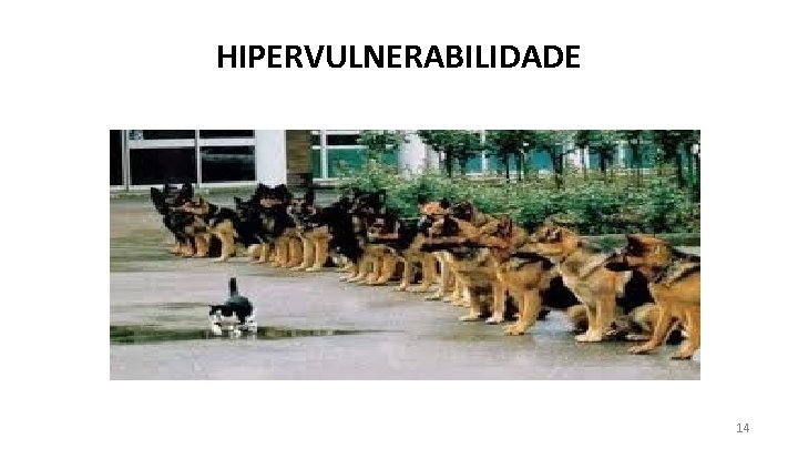 HIPERVULNERABILIDADE 14 