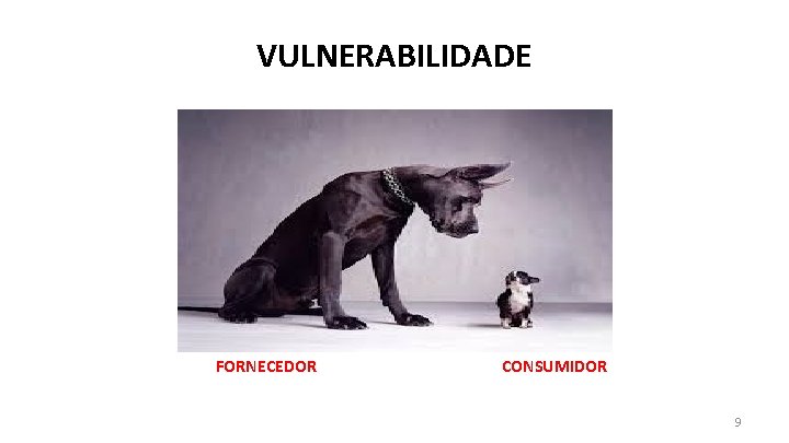 VULNERABILIDADE FORNECEDOR CONSUMIDOR 9 