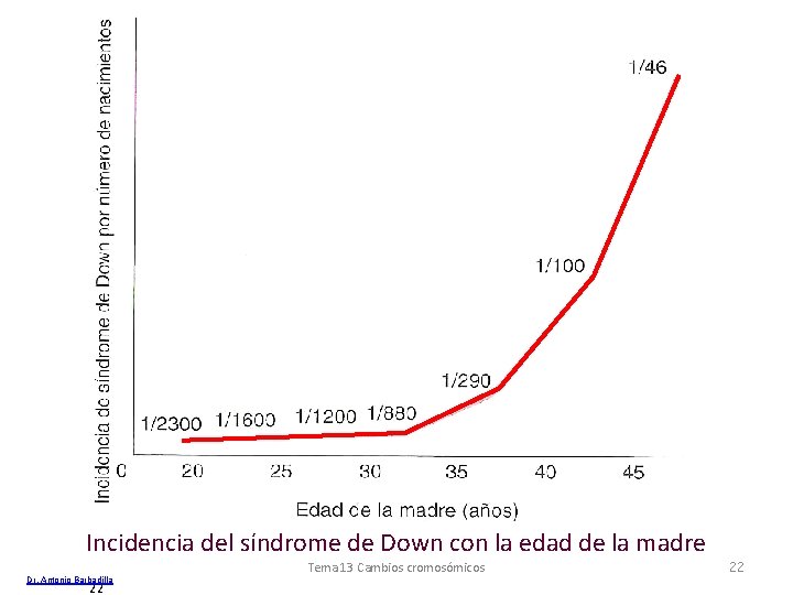 Incidencia del síndrome de Down con la edad de la madre Dr. Antonio Barbadilla